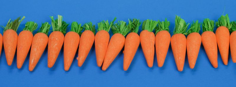 Lire la suite à propos de l’article 1- Alignement et santé dentaire