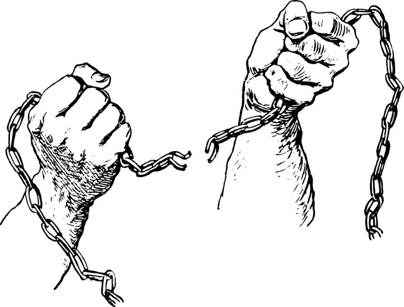 Lire la suite à propos de l’article 52-Comment décrypter et déjouer arnaques et incompétences en orthondique (1/4)